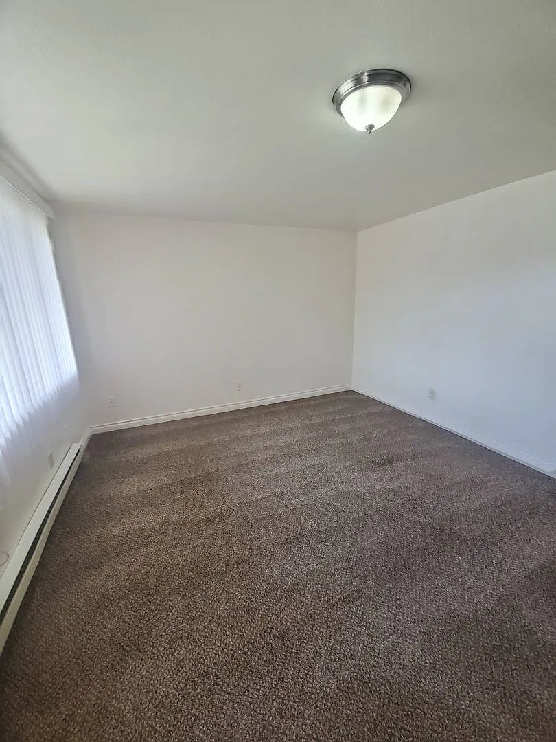 1 Bedroom Apartment- September rent FREE with 12-month lease! — Photo 3