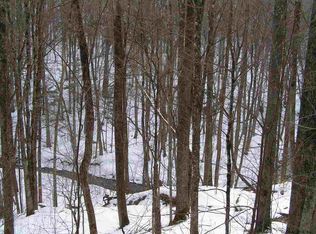 Norton Rd, Schenevus, NY 12155