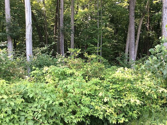 5th image of 11050 Preserve Blvd Lot 10