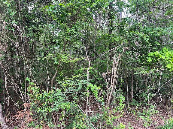 4th image of Tbd The Ole Barney Rd