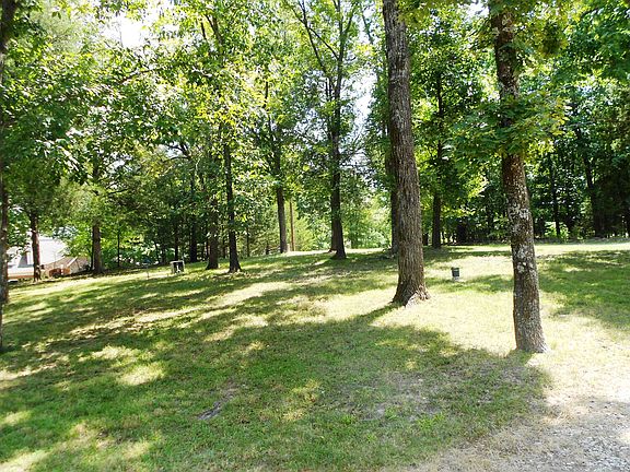 What a beautiful front yard