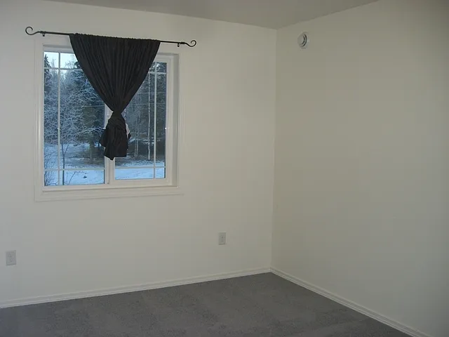 3BR, 2.5BA home with 3 car garage with lake access — Photo 3
