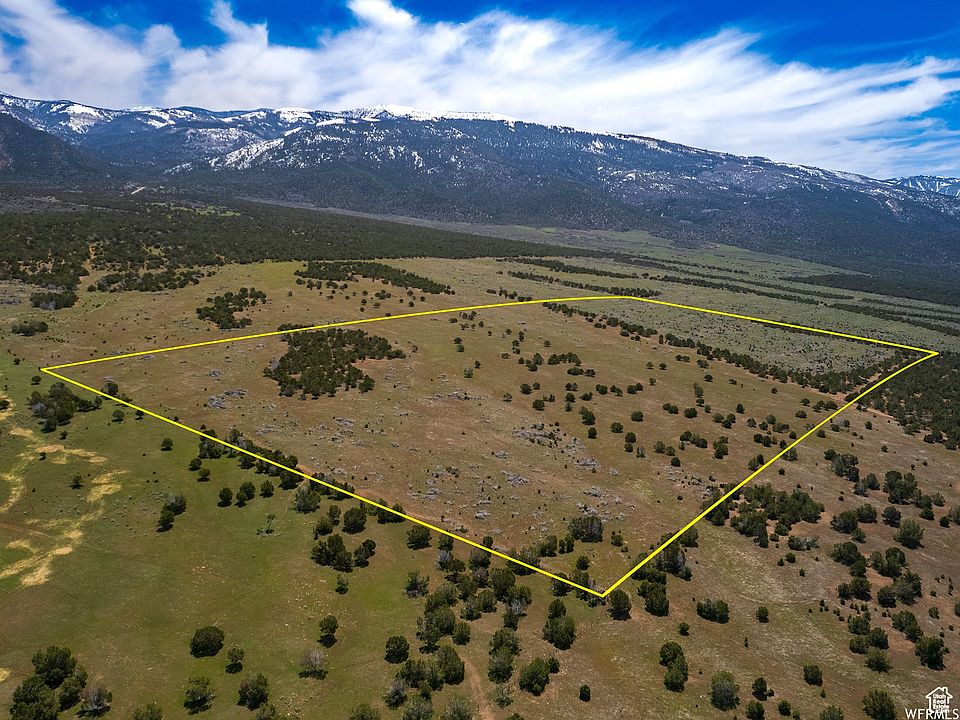 2nd image of 7000 11000