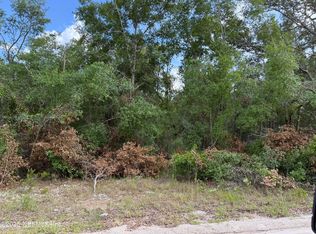 331 4TH Way, Interlachen, FL 32148