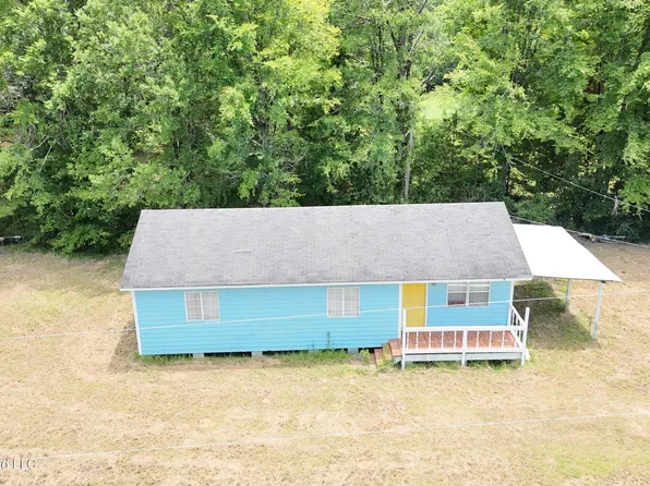 1100 Pine Tree Ln, Terry, MS 39170