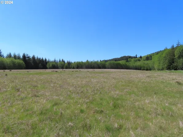 Wynochee Wishkah Rd, Montesano, WA 98563