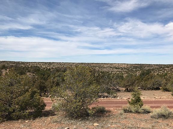 4th image of 7047 W Painted Rock Trl