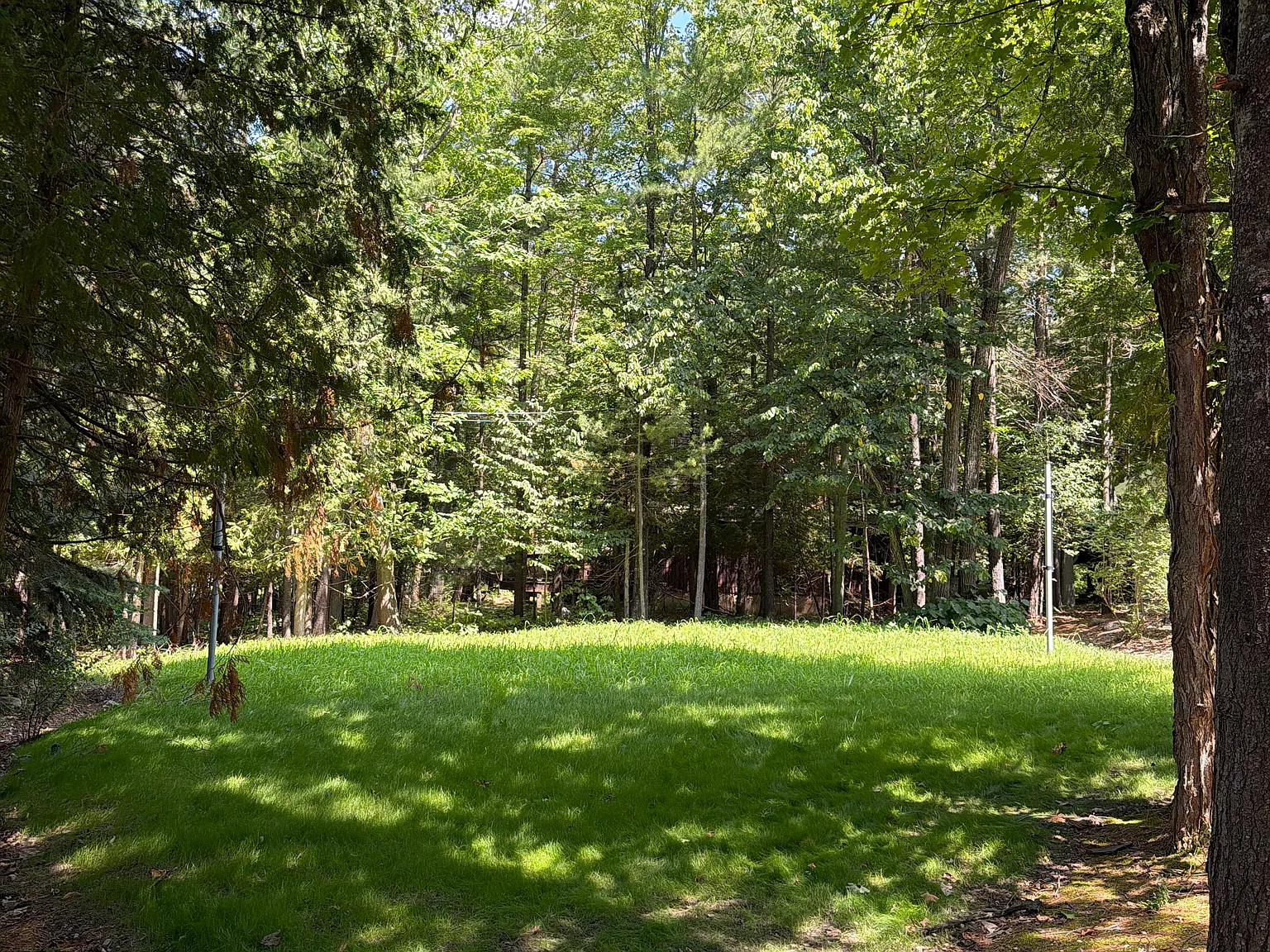 3 bed, 1600 sqft, $2,100 — Photo 2