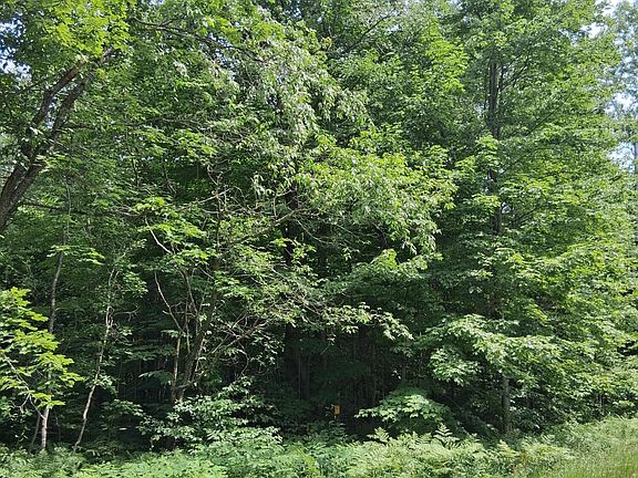 3rd image of 569 Crestwood Dr