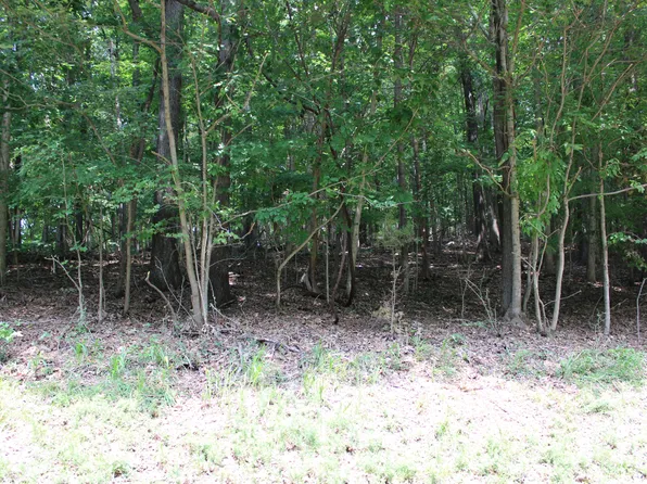 LOT 122 Palisades Dr #53F-122, Eddyville, KY 42038