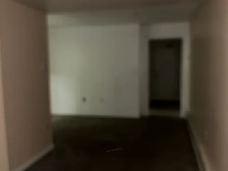 24 Franklin Pl #B — Photo 30