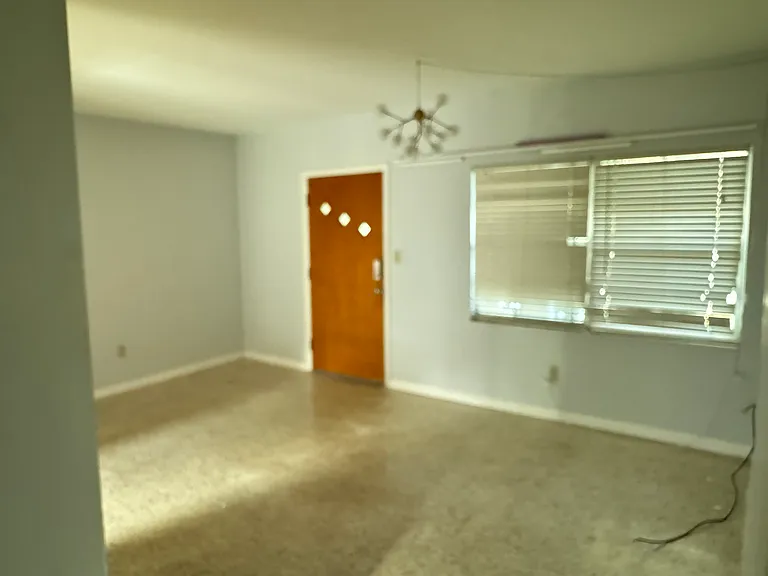 806 Rugby St #3 — Photo 3