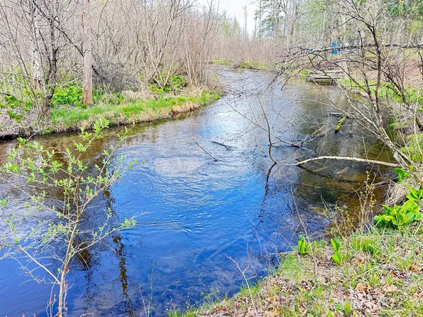 8811 S Greenwood St, Baldwin, MI 49304