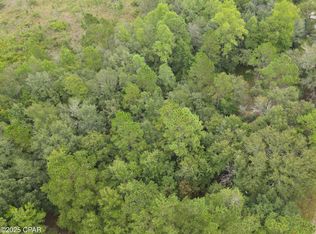 0 Bryerwood Ln, Bonifay, FL 32425