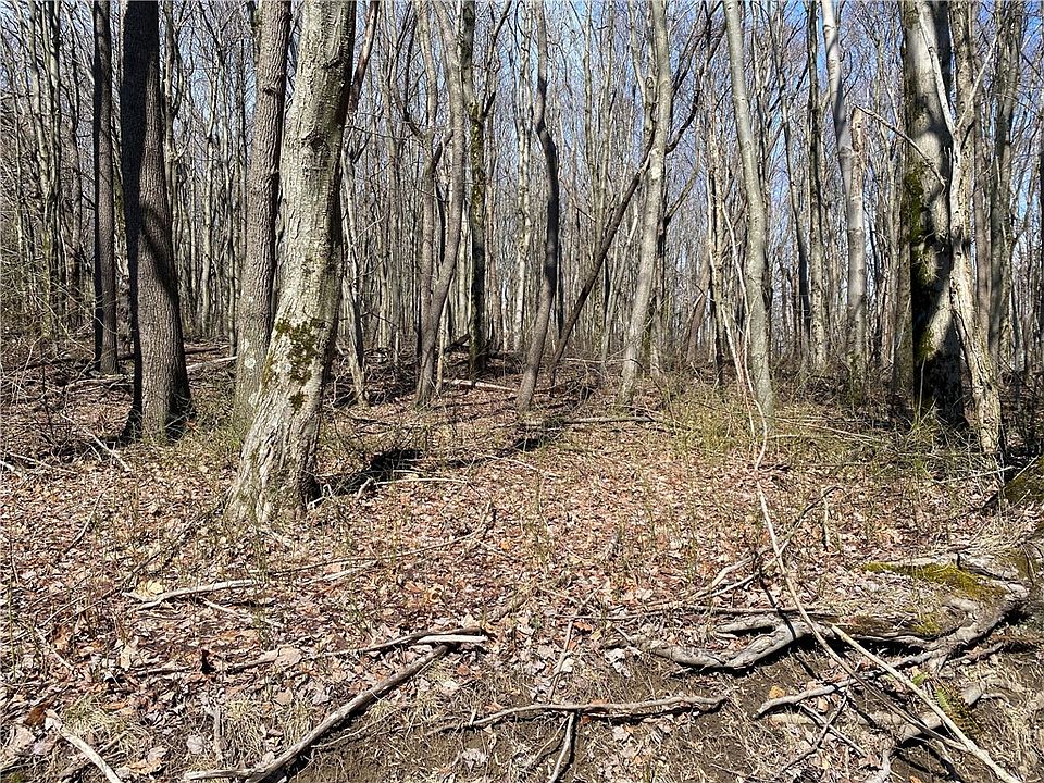 2nd image of 0 Armel Hollow Rd