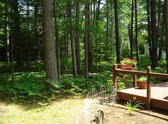 5th image of 7988 Aarwood Trail