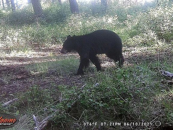 2nd image of 11530 La Valle Creek Rd
