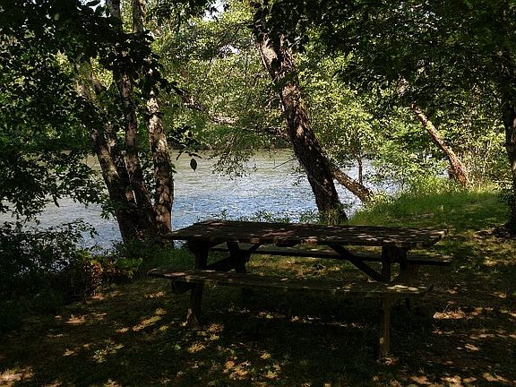 picnic and fishing