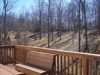 Back yard from deck