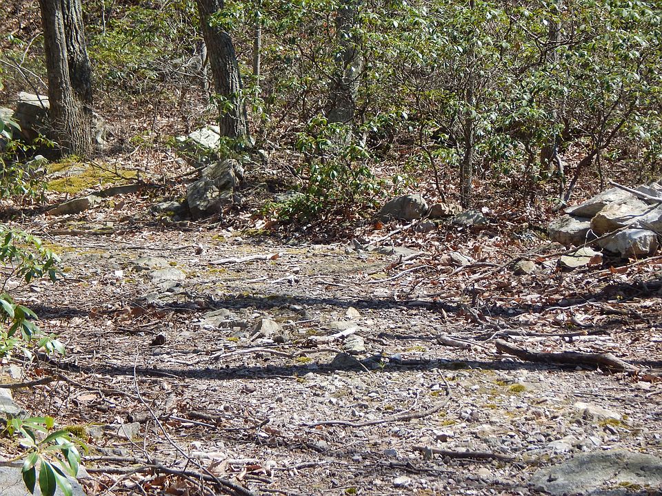 1st image of Toboggan Hill Trl