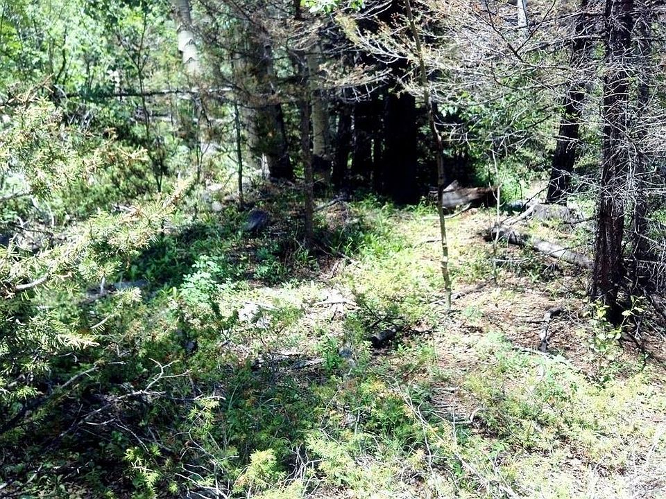 1st image of Castle Peak Dr