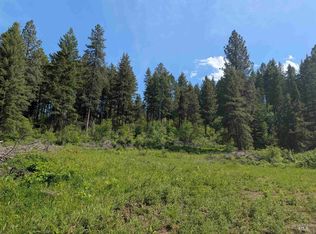 714 Mountain Top Dr #3, Orofino, ID 83544