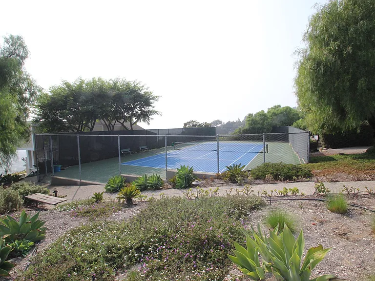 Tennis anyone ?