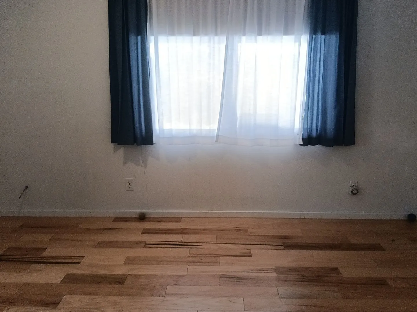 3 Bedroom, 1.5 Bathroom Home! Schedule a Showing! — Photo 3