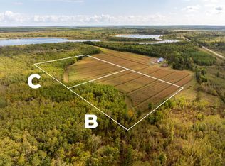 TRACT B State #200, Laporte, MN 56461