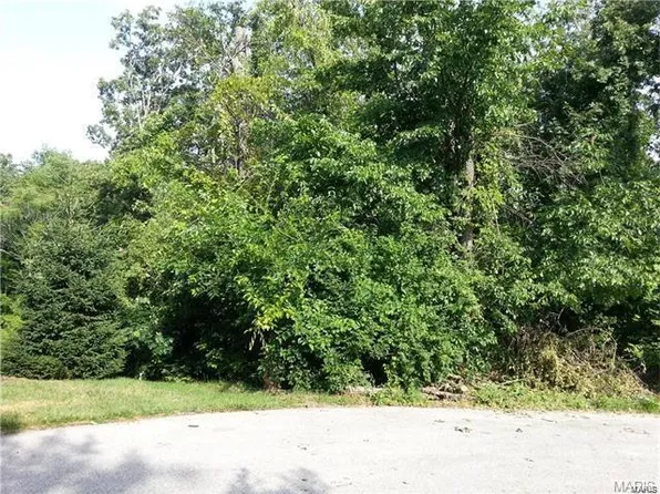 424 Trinity Rdg Lot 112, Pevely, MO 63070