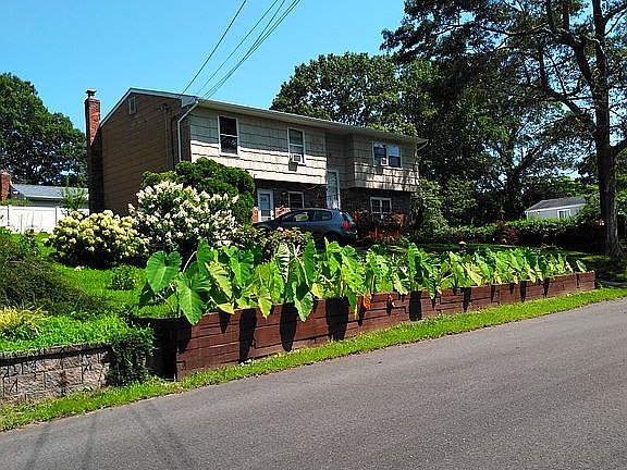 2nd image of 255 Port Ave