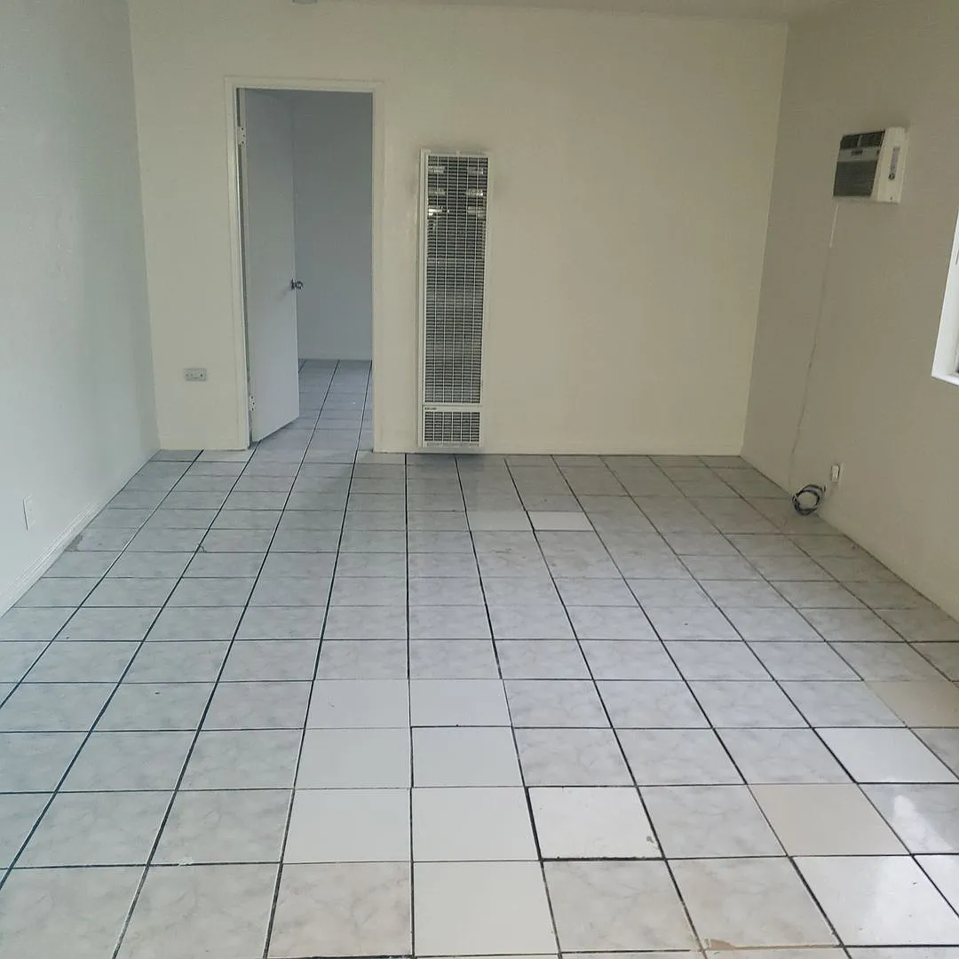 pat203 — Photo 3