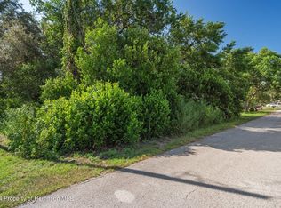 0 Cottondale Ave, Spring Hill, FL 34608