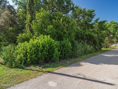 0 Cottondale Ave, Spring Hill, FL, 34608