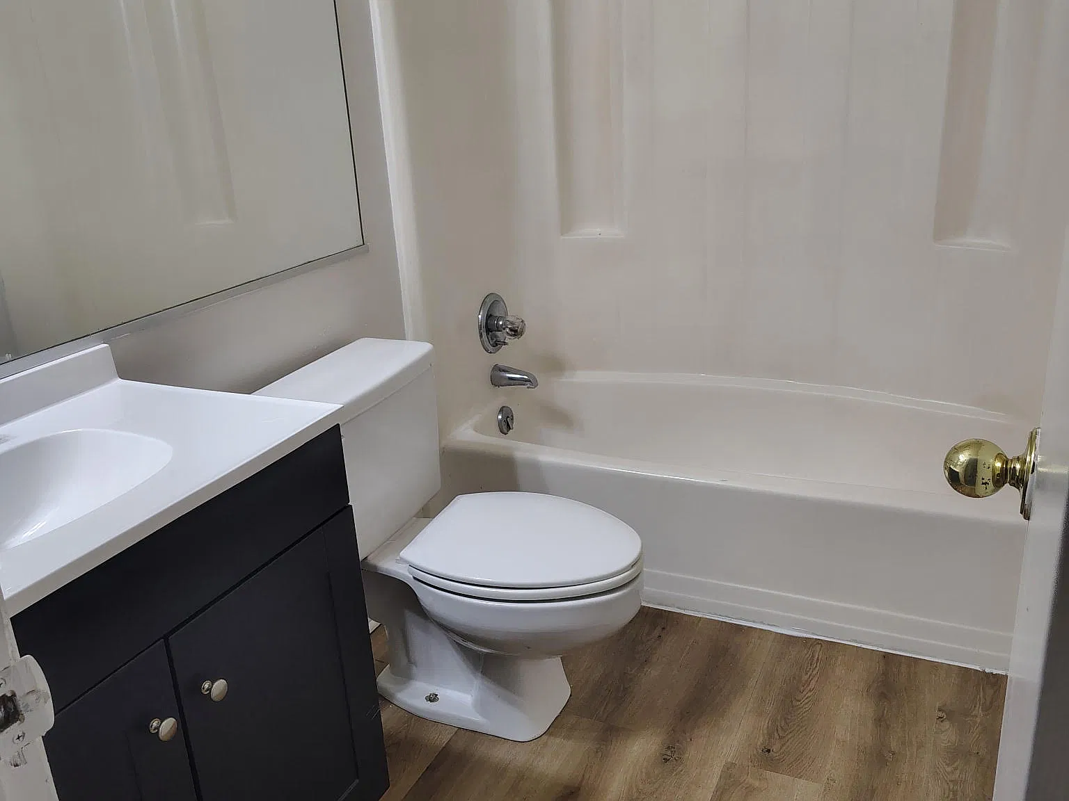 2 bed, 1010 sqft, $1,850 — Photo 3