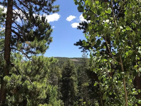 000 Talus Circle, Black Hawk, CO 80422