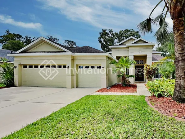 2306 Fountain Grass Dr, Valrico, FL 33594