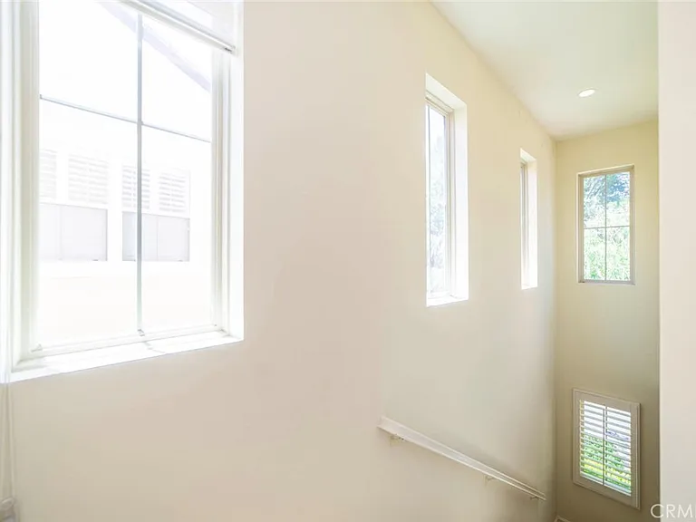 33 Bromeliad — Photo 15