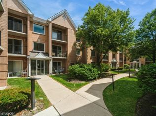8710 W Evelyn Ln APT 204, Chicago, IL 60656