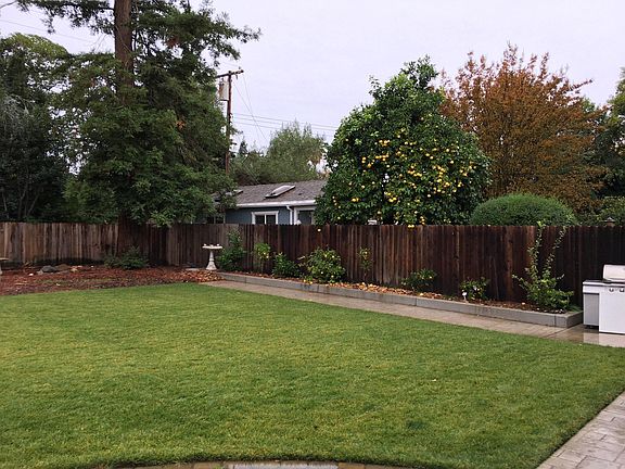 BACK YARD PICTURE_2
