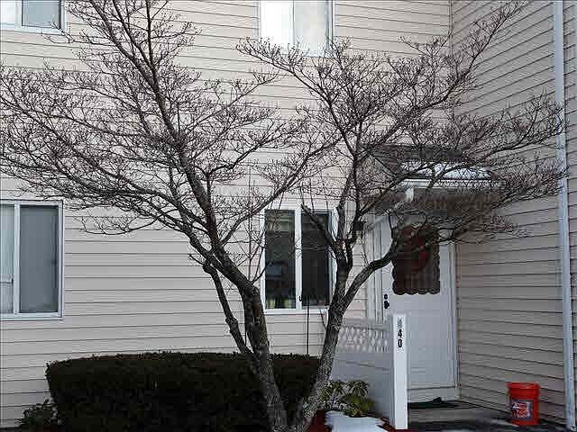 1st image of 440 Gregory Ct #440