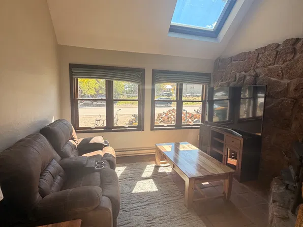 623 Gothic Ave Unit 1, Crested Butte, CO 81224
