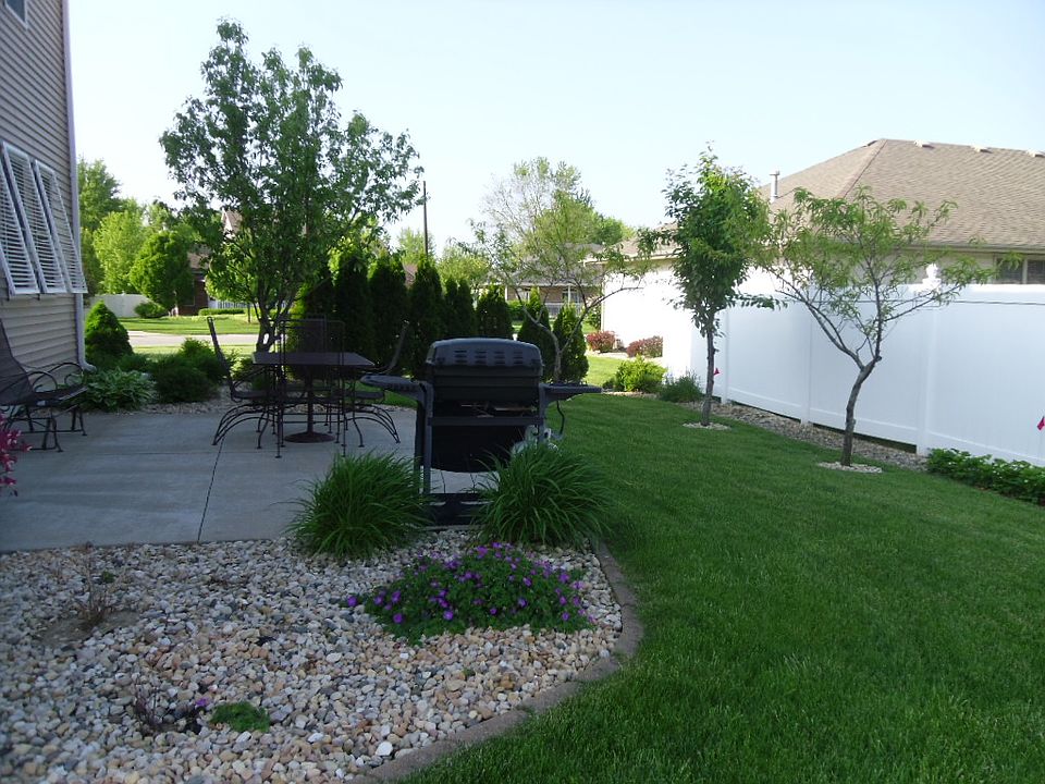 Backyard garden