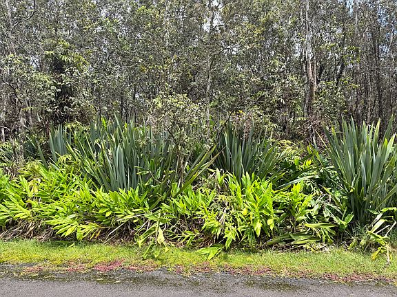 2nd image of 11-3778 1st St Lot 130