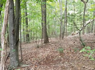 Silver Shadow Rd LOT 10, Hardy, VA 24101