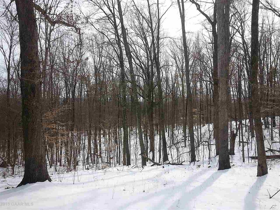 2nd image of 1949 Sweet Hollow Ln