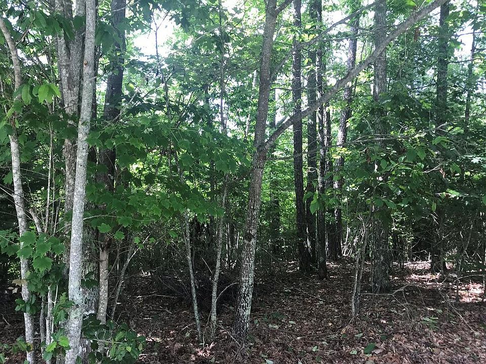 1st image of 6 Mountain Pass Dr Lot 11