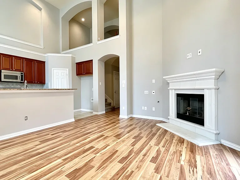 1713 Snow Owl Ct — Photo 4