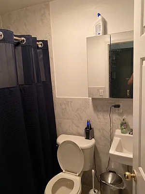 Rented by New York Realty | media 15