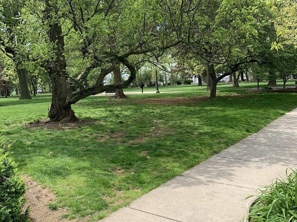 a few feet away from the park.